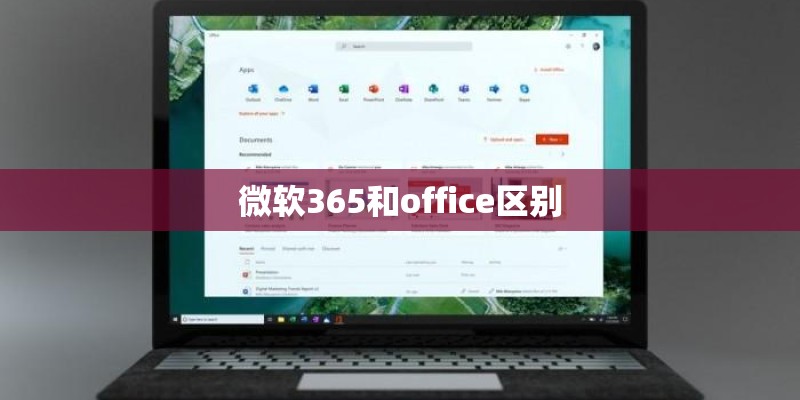 微软365和office区别