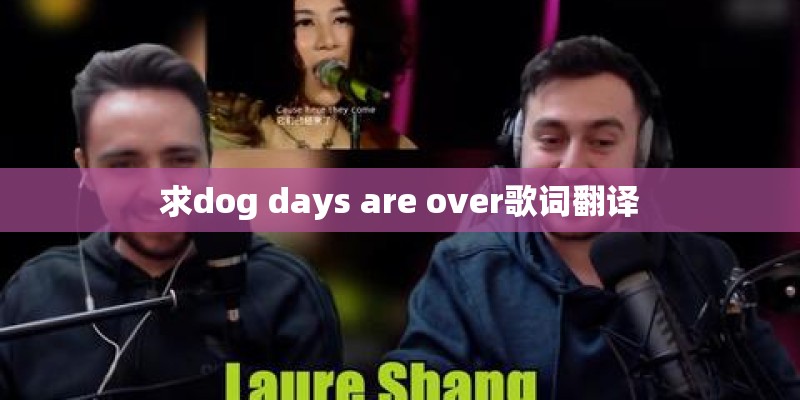 求dog days are over歌词翻译