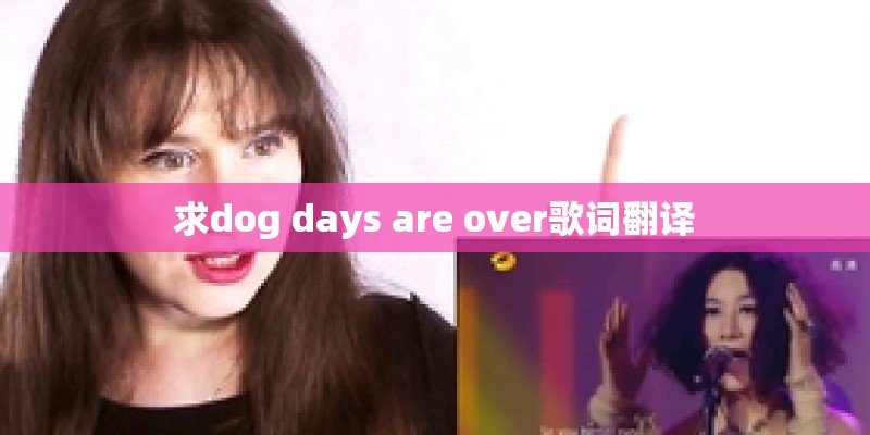 求dog days are over歌词翻译