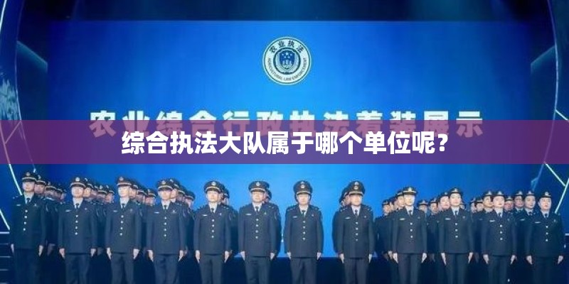 综合执法大队属于哪个单位呢? 综合执法大队属于哪个单位呢?