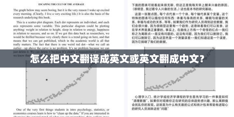 怎么把中文翻译成英文或英文翻成中文？