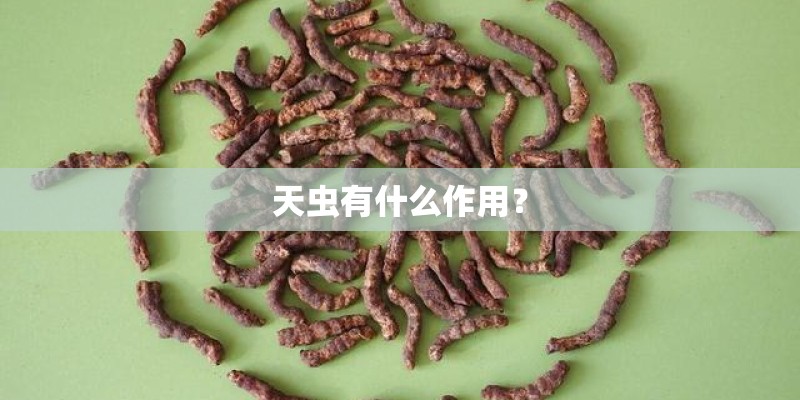 天虫有什么作用？