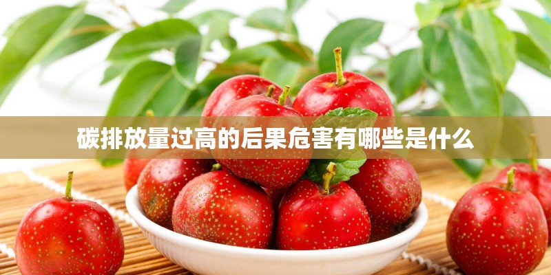 碳排放量过高的后果危害有哪些是什么