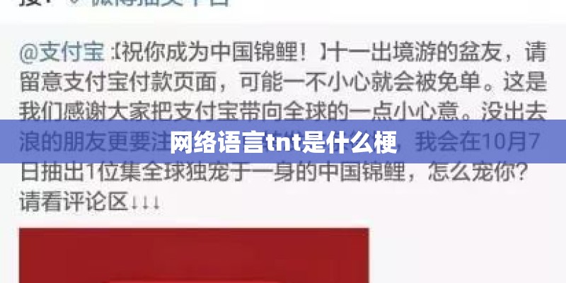 网络语言tnt是什么梗
