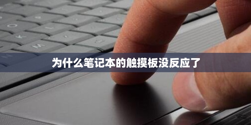 为什么笔记本的触摸板没反应了