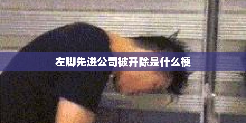 左脚先进公司被开除是什么梗 左脚先进公司被开除是什么梗