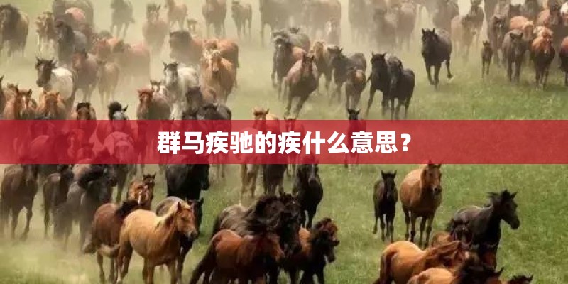 群马疾驰的疾什么意思？