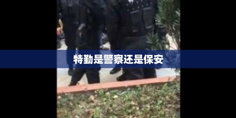 特勤是警察还是保安