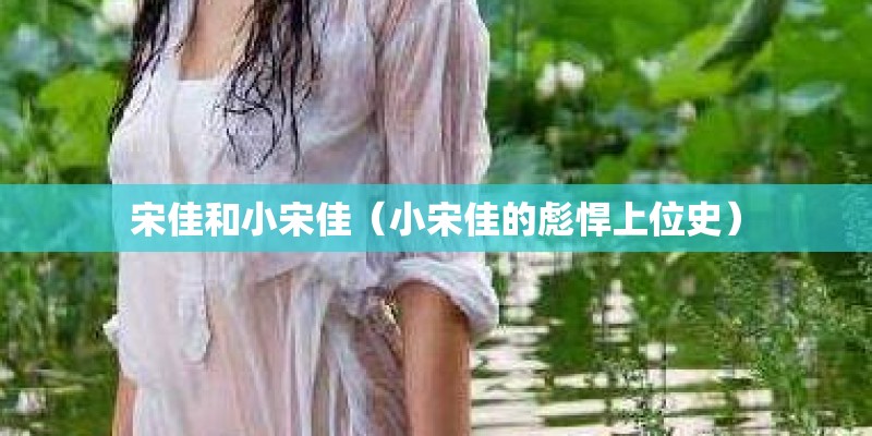 宋佳和小宋佳（小宋佳的彪悍上位史）