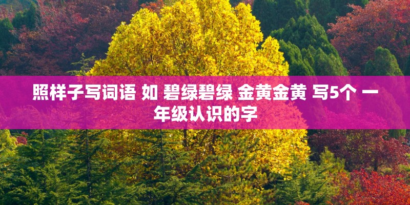 照样子写词语 如 碧绿碧绿 金黄金黄 写5个 一年级认识的字