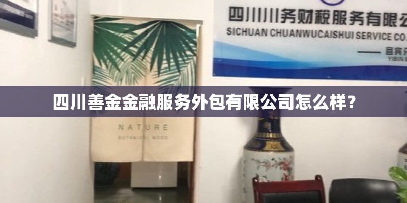 四川善金金融服务外包有限公司怎么样？