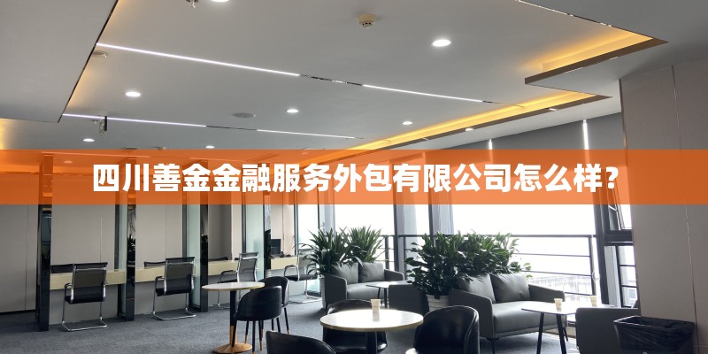 四川善金金融服务外包有限公司怎么样？