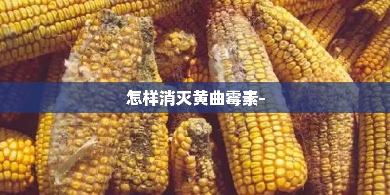 怎样消灭黄曲霉素-