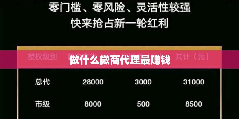 做什么微商代理最赚钱