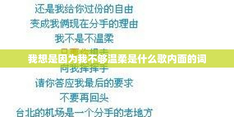 我想是因为我不够温柔是什么歌内面的词