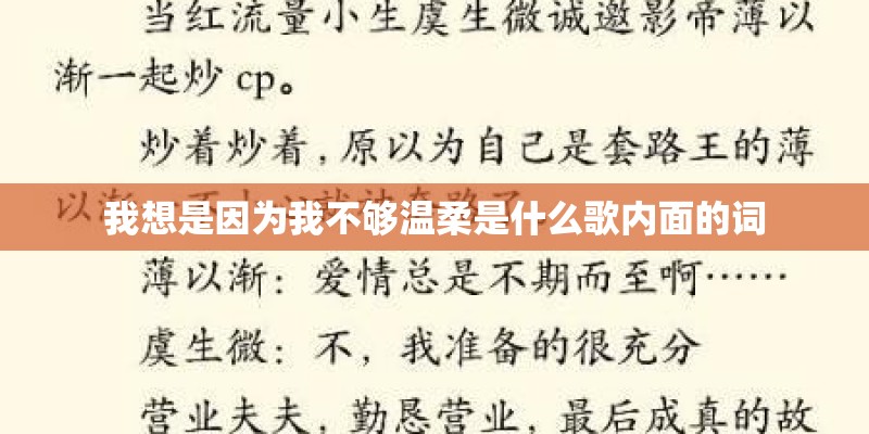 我想是因为我不够温柔是什么歌内面的词
