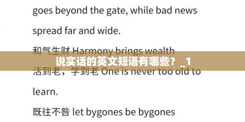 说实话的英文短语有哪些？_1