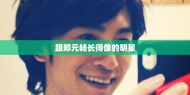 跟郑元畅长得像的明星