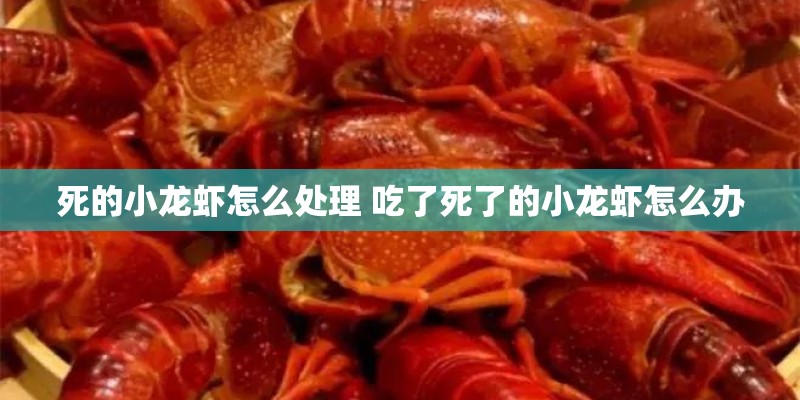 死的小龙虾怎么处理 吃了死了的小龙虾怎么办