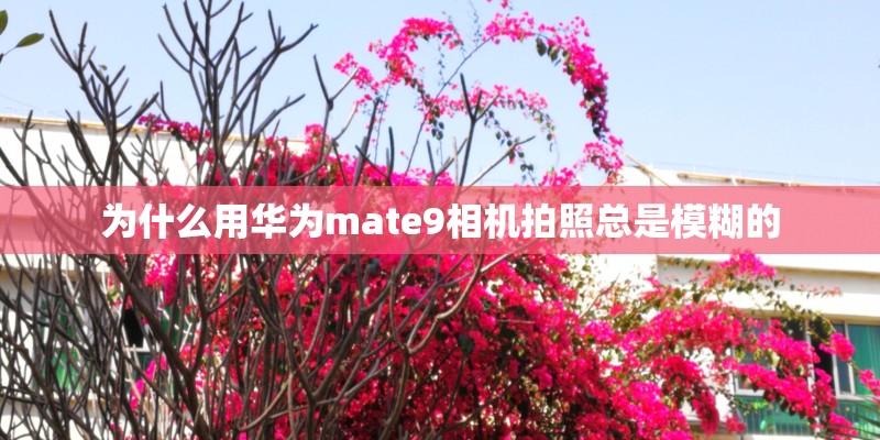 为什么用华为mate9相机拍照总是模糊的