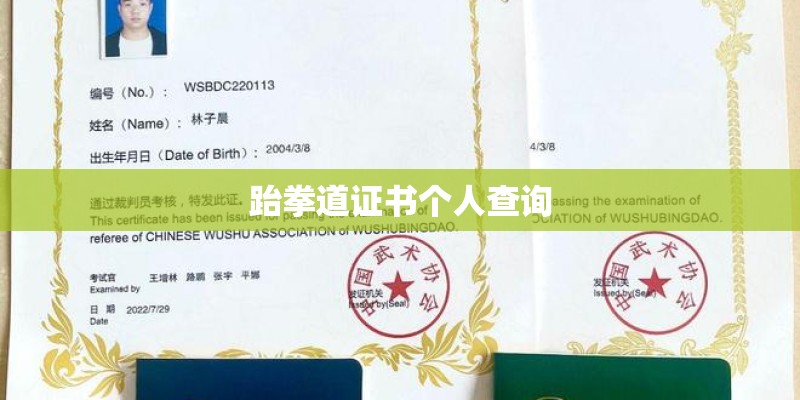 跆拳道证书个人查询