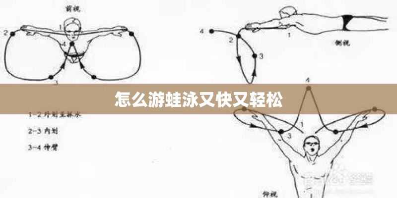 怎么游蛙泳又快又轻松 怎么游蛙泳又快又轻松