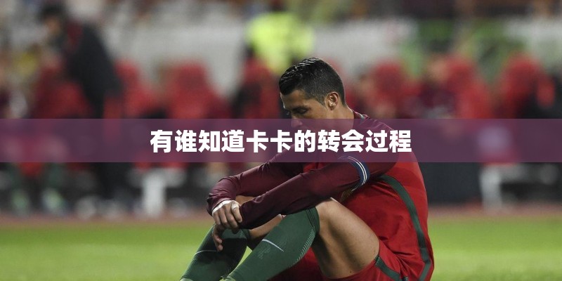 有谁知道卡卡的转会过程