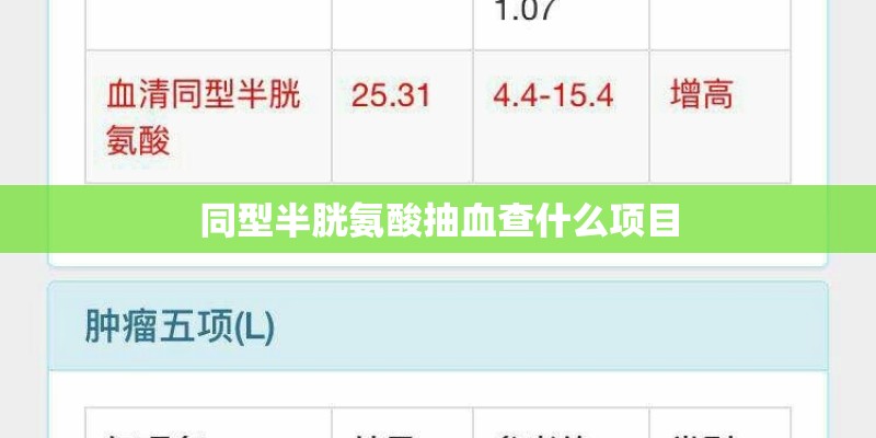 同型半胱氨酸抽血查什么项目