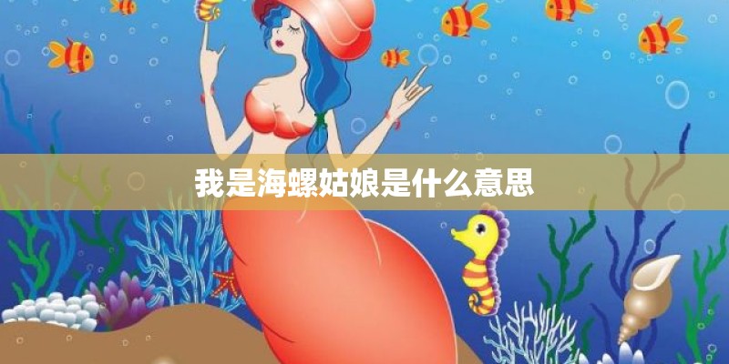 我是海螺姑娘是什么意思