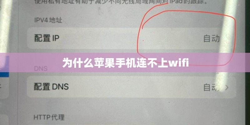 为什么苹果手机连不上wifi