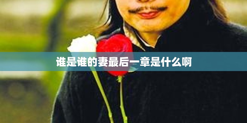 谁是谁的妻最后一章是什么啊