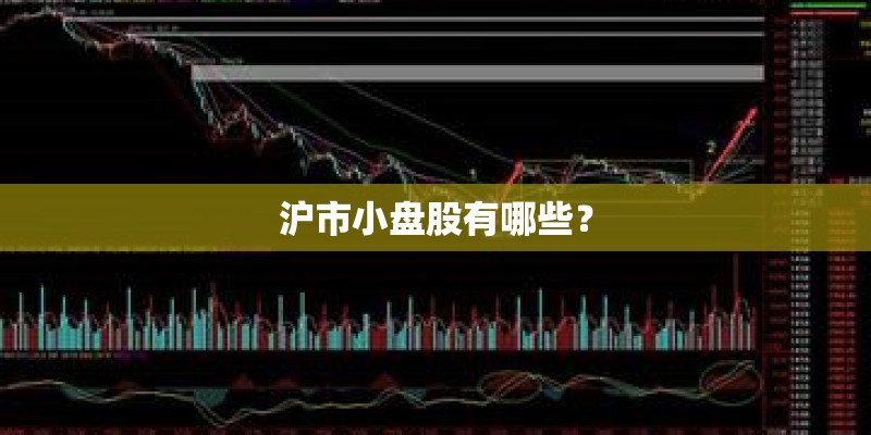 沪市小盘股有哪些？