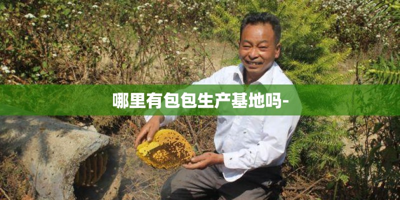 哪里有包包生产基地吗-