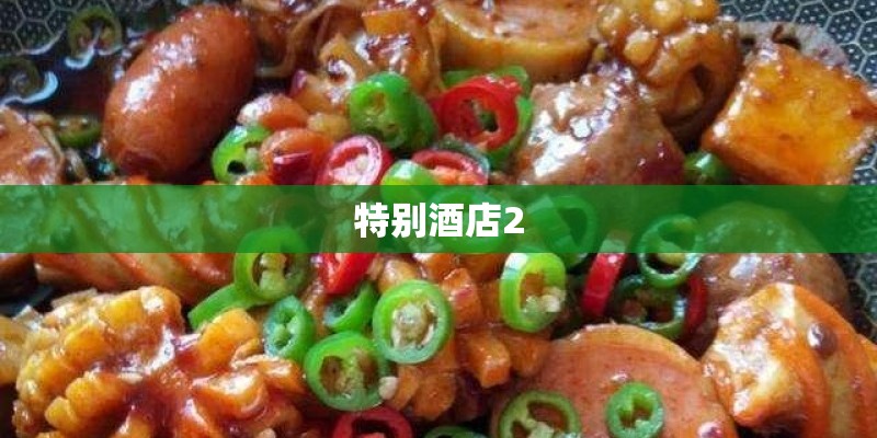 特别酒店2
