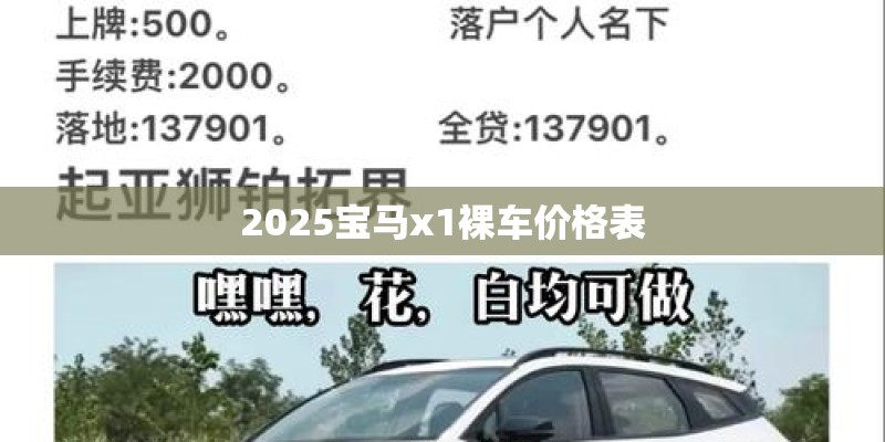 2025宝马x1裸车价格表