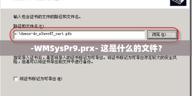 -WMSysPr9.prx- 这是什么的文件? -WMSysPr9.prx- 这是什么的文件?