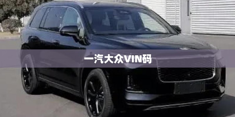 一汽大众VIN码