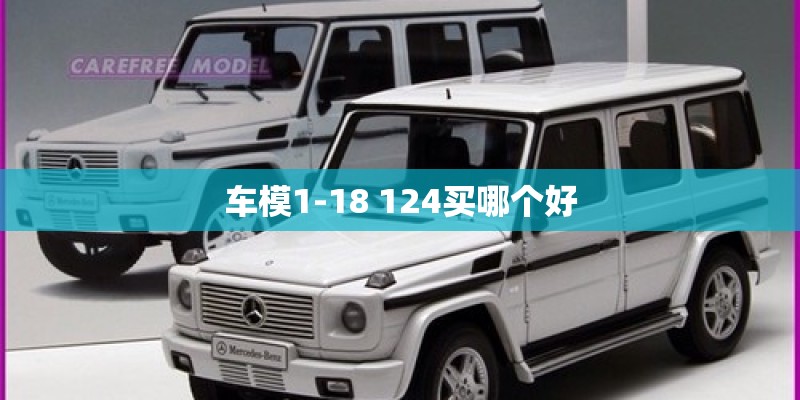车模1-18 124买哪个好