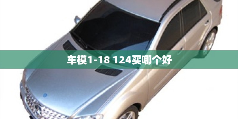 车模1-18 124买哪个好