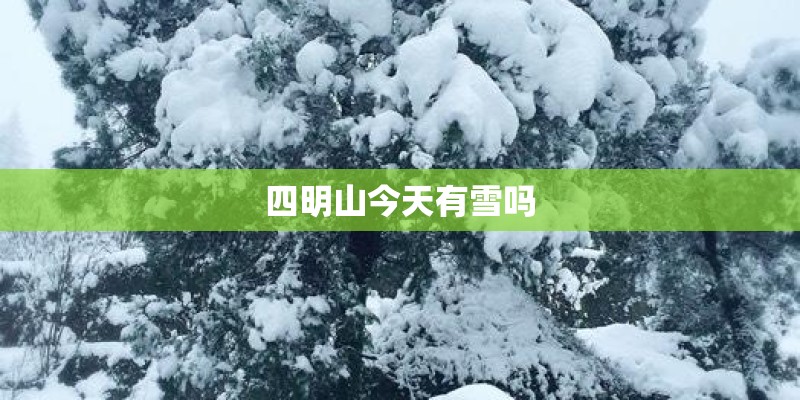 四明山今天有雪吗