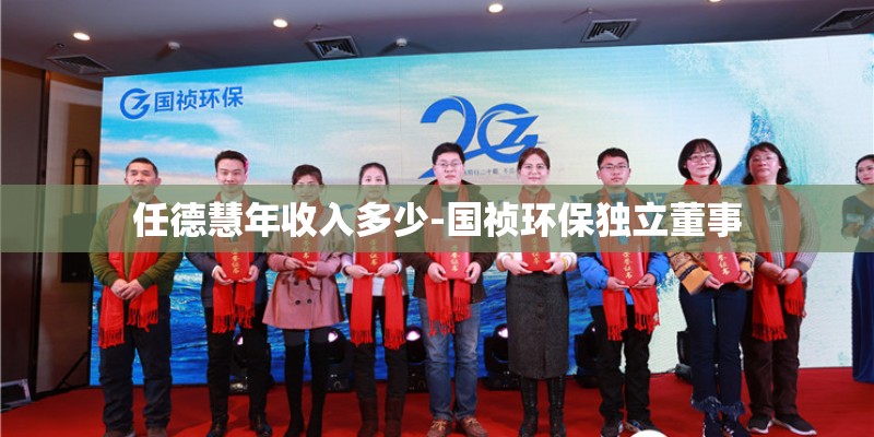 任德慧年收入多少-国祯环保独立董事