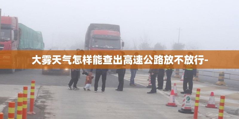 大雾天气怎样能查出高速公路放不放行-