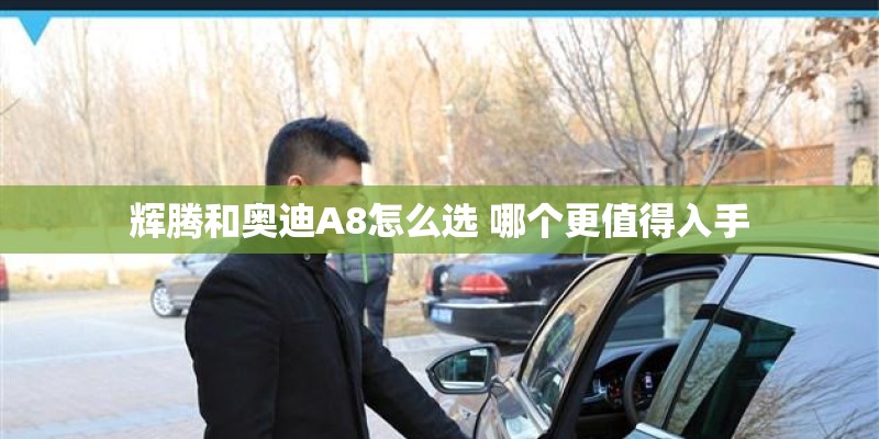 辉腾和奥迪A8怎么选 哪个更值得入手 辉腾和奥迪A8怎么选 哪个更值得入手