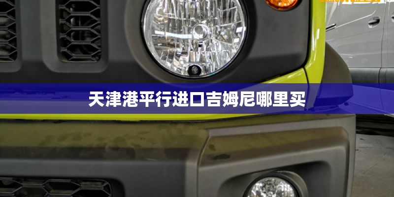 天津港平行进口吉姆尼哪里买
