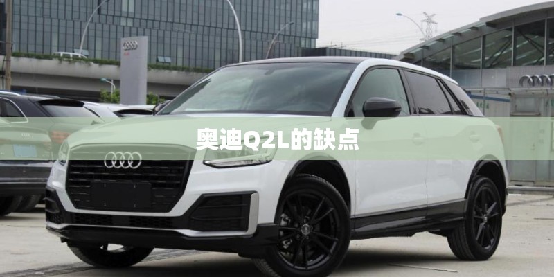 奥迪Q2L的缺点 奥迪Q2L的缺点