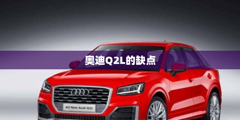 奥迪Q2L的缺点 奥迪Q2L的缺点