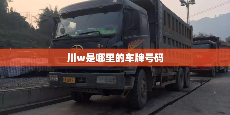 川w是哪里的车牌号码
