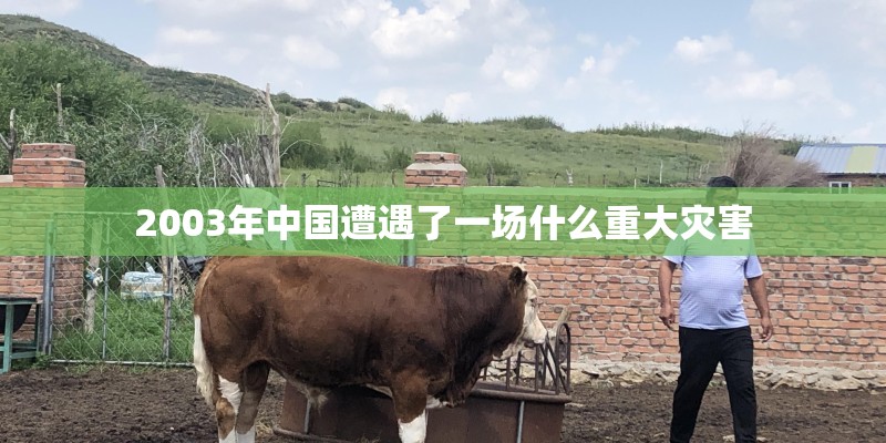 2003年中国遭遇了一场什么重大灾害
