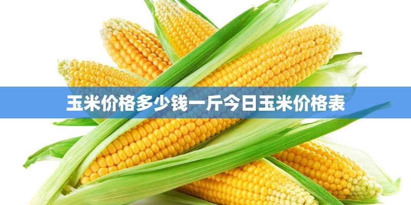 玉米价格多少钱一斤今日玉米价格表