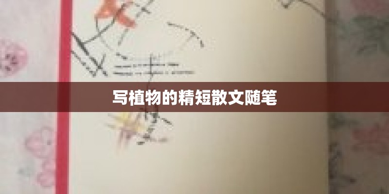 写植物的精短散文随笔